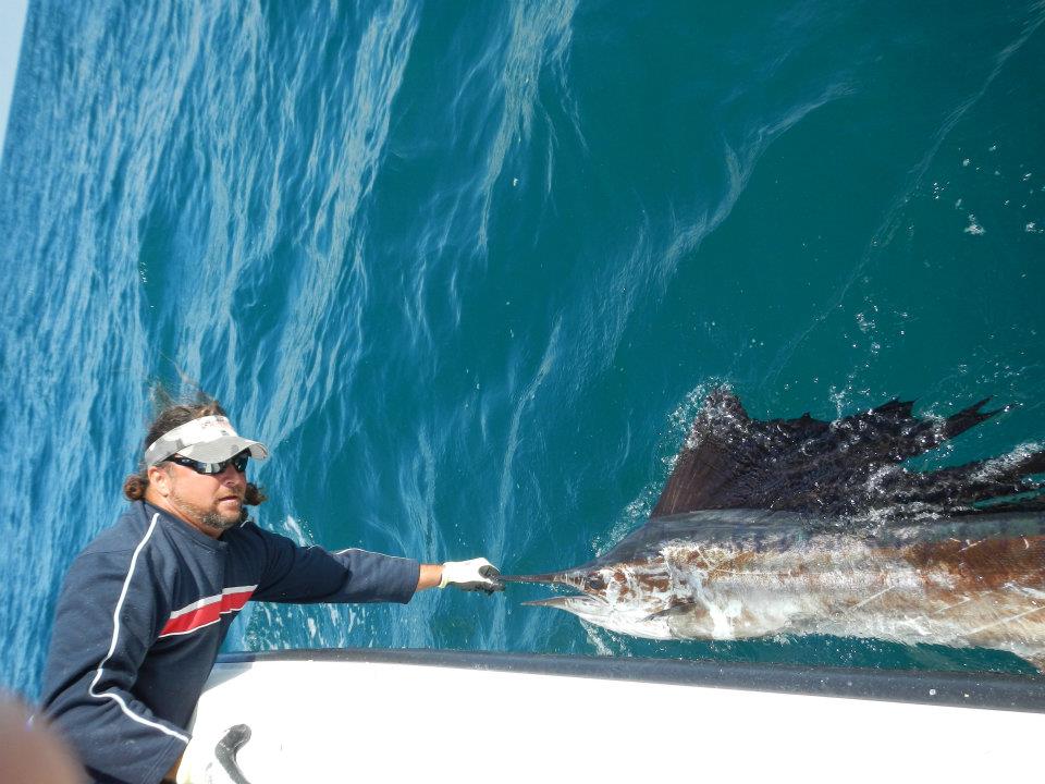 Captain Scott Lum handling a sailfish